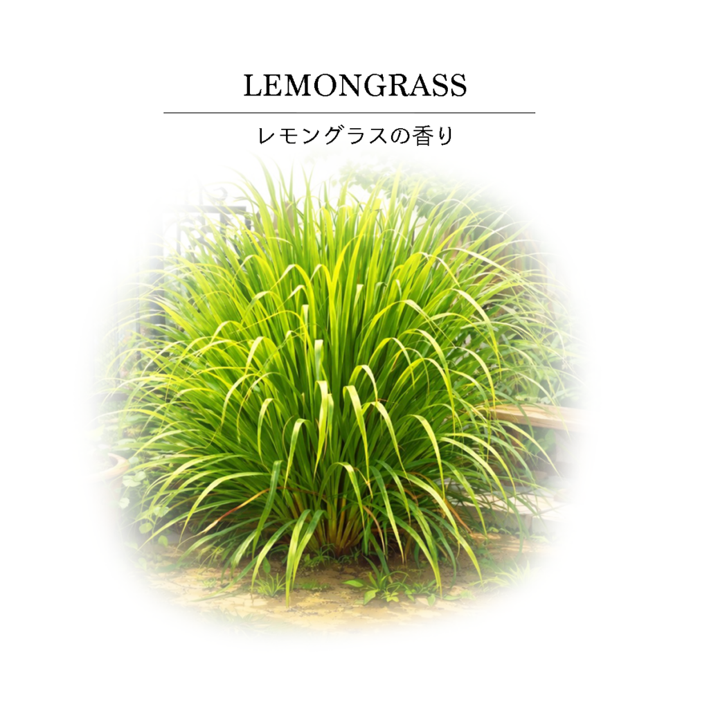 レモングラスの香り